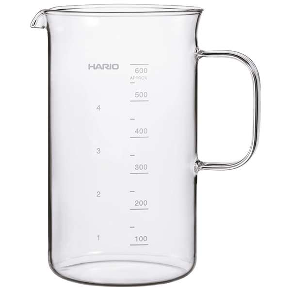 Bouteille Filtrante Hario – 750 ml