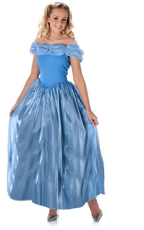 Ladies Fairy Princess Costume