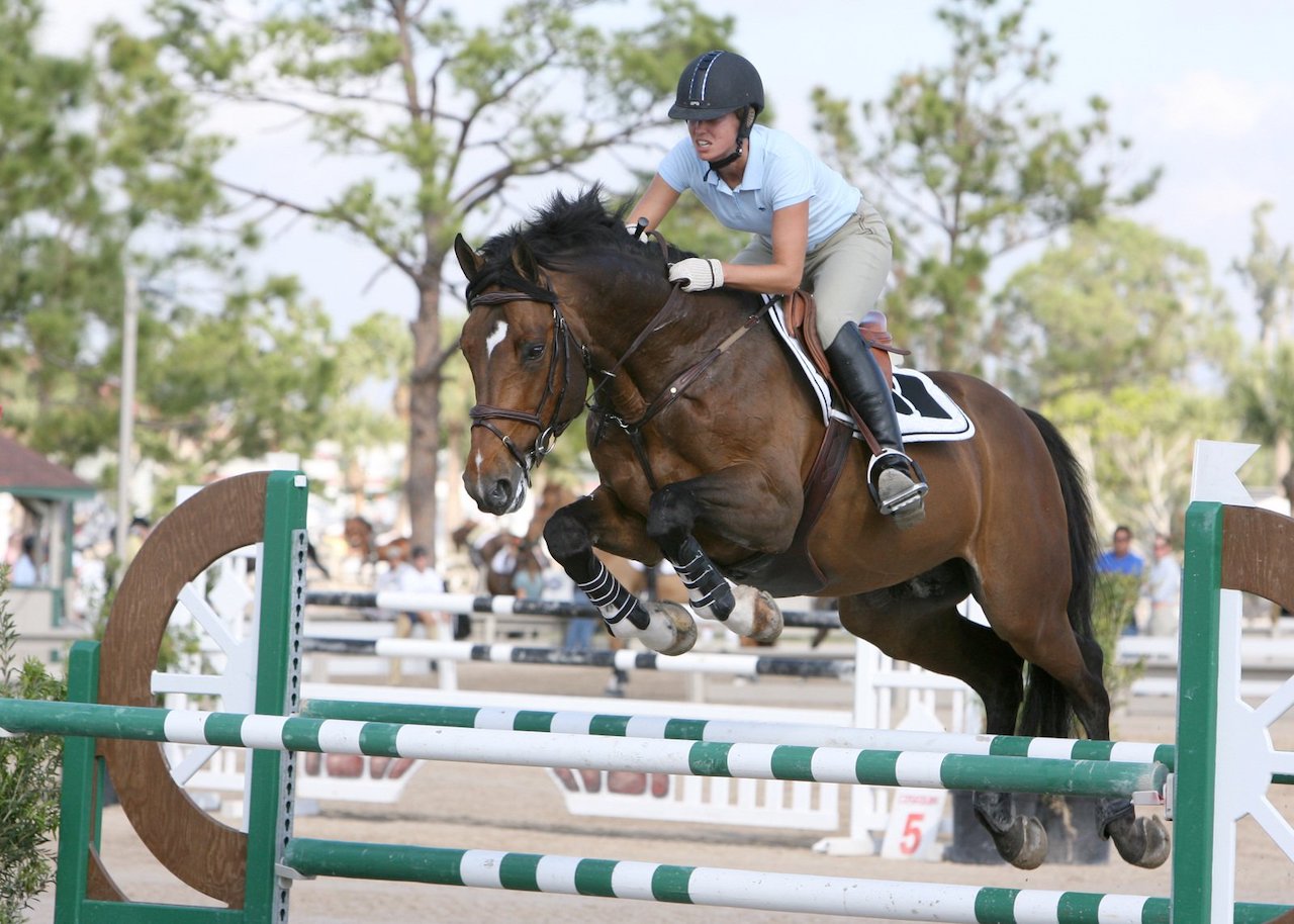 Equestrian jumping saddle