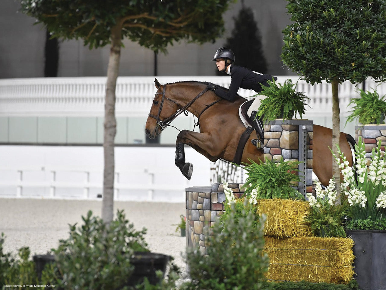 11 Of The Top Equestrian Centers In The US Farm House Tack   Show Jumper At World Equestrian Center 1 2000x 