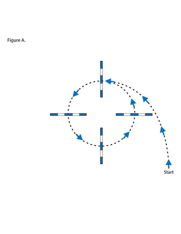 Circle of Ground Poles Pattern