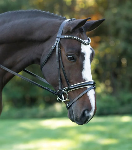 Red Barn by KL Select Stride Dressage Bridle