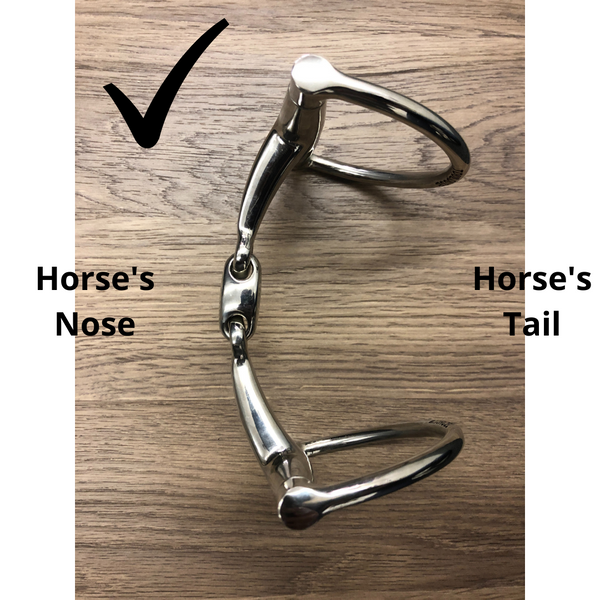 The correct direction for a bit to face in a horse's mouth