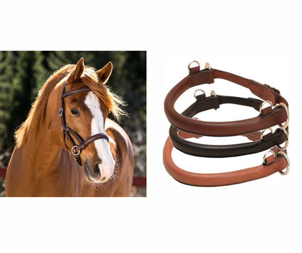 Sidepull bridles