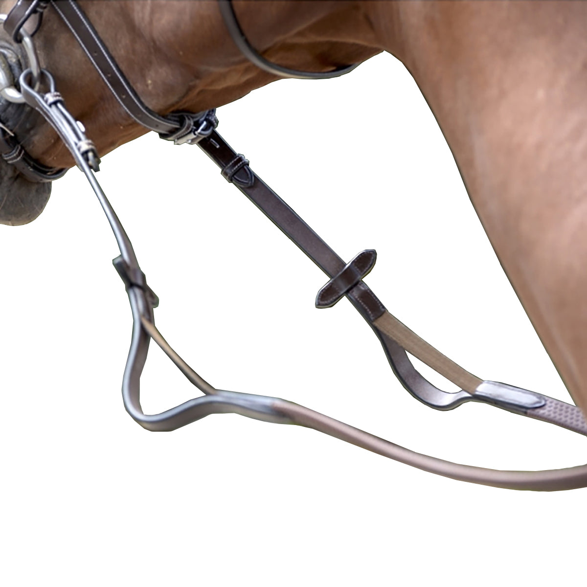 Blinkers (horse tack) - Wikipedia