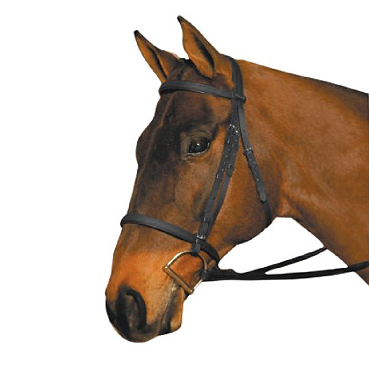 Wintec English Bridle with Flash Noseband | Farm House Tack