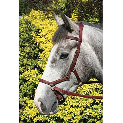 Western Bosal Bridle with Nylon Nosepiece-A 12 19