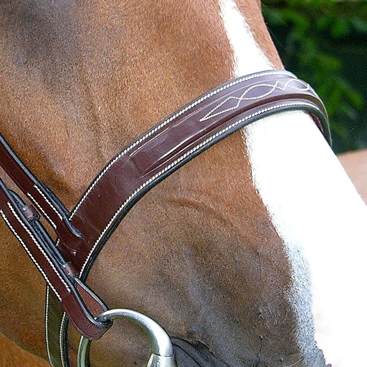 Dy'on Fancy Stitch Wide Noseband Bridle | Farm House Tack