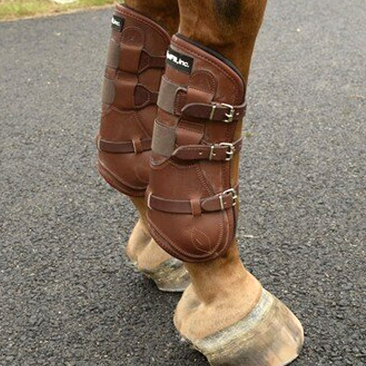 equifit t boots