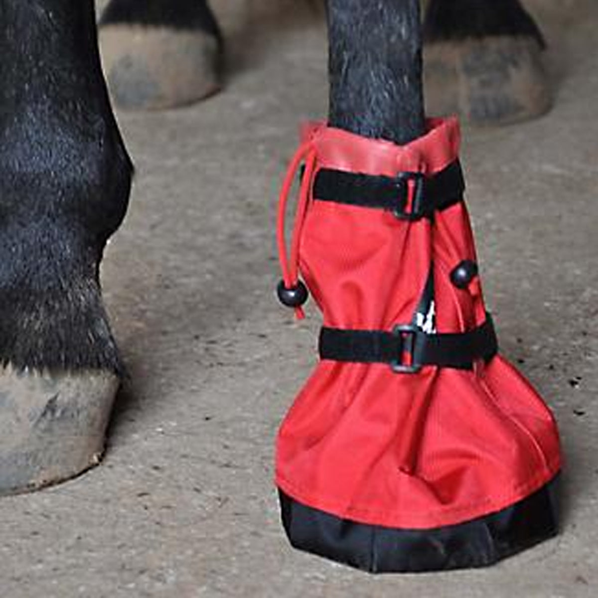 hoof soaking boot