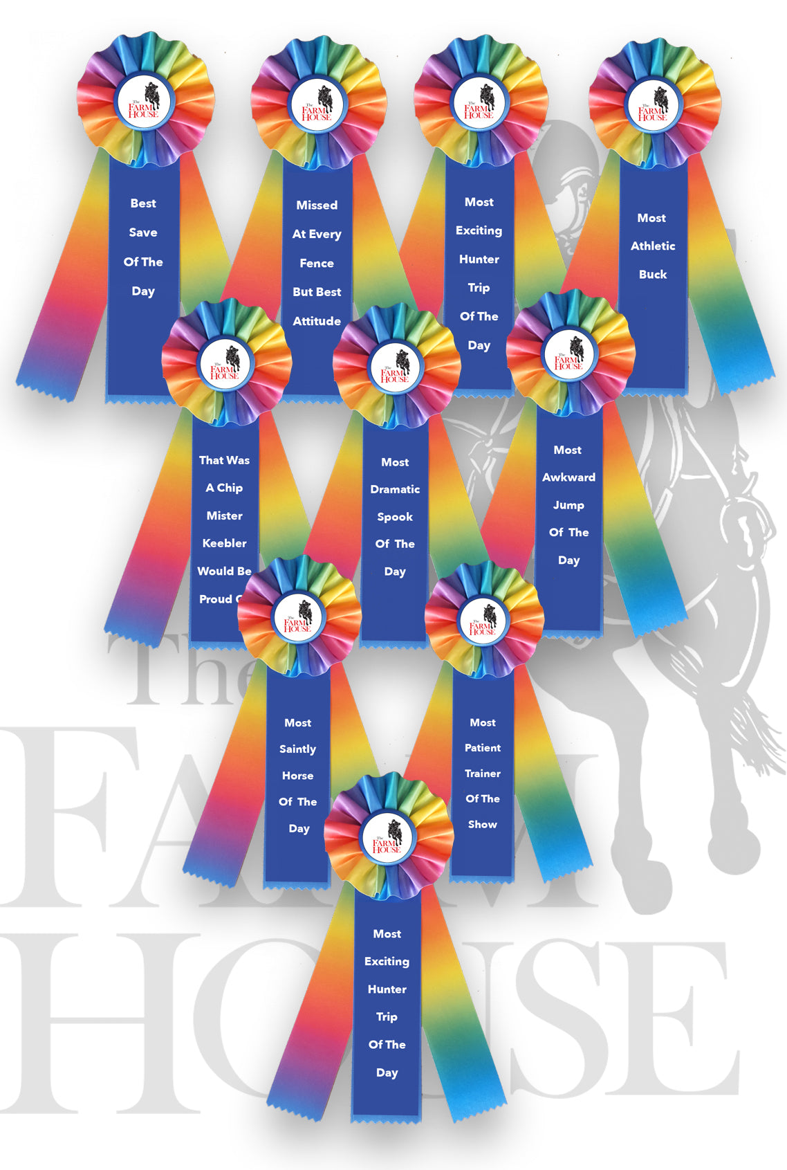 Ribbons for when you fail at horse riding