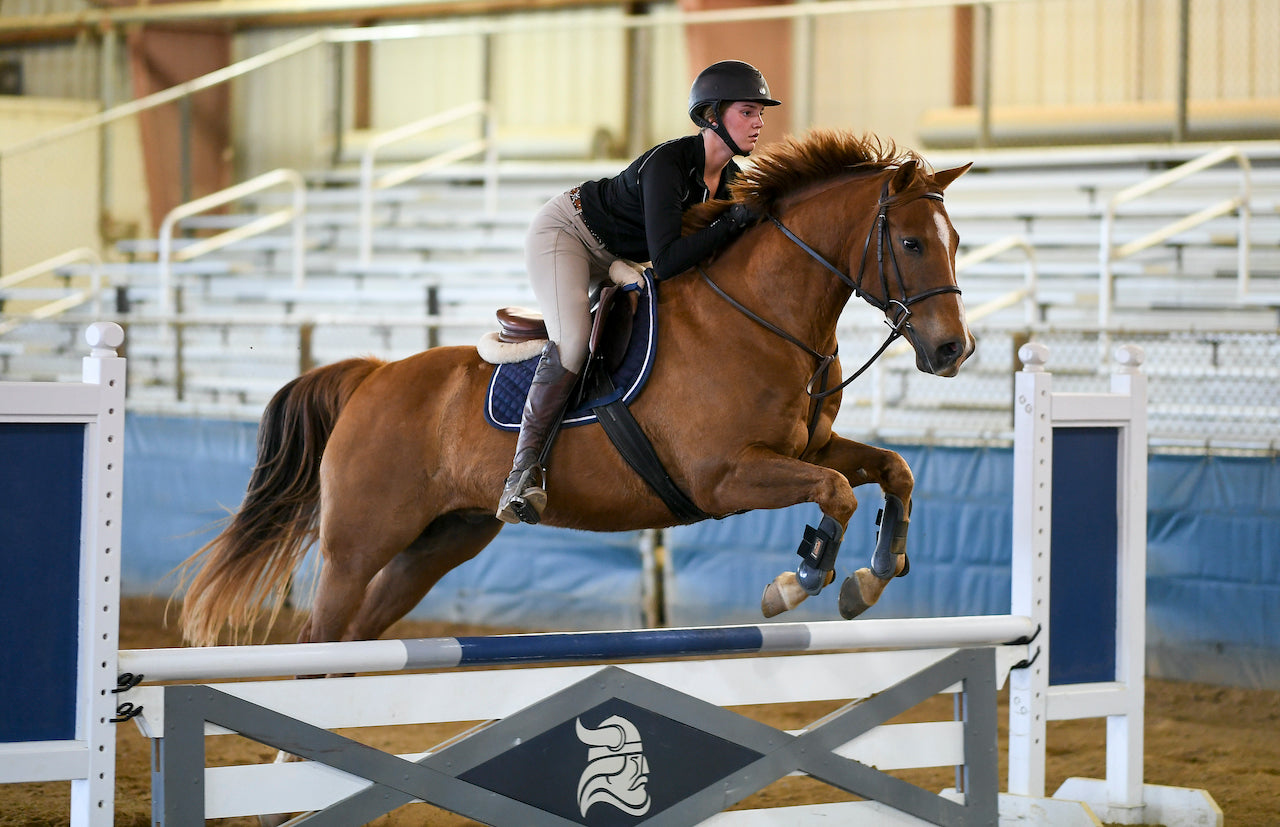 Rider at Berry College Gunby Equine Center