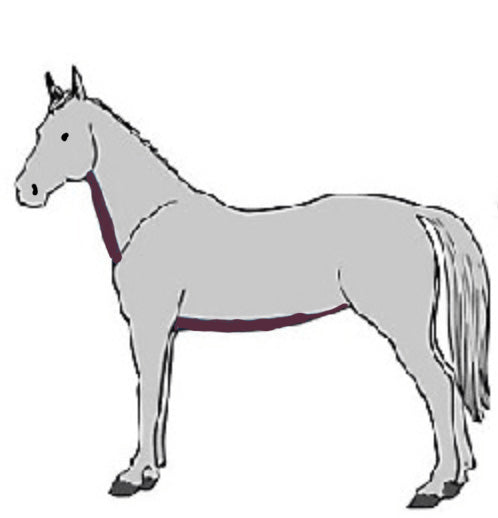 horse with strip clip