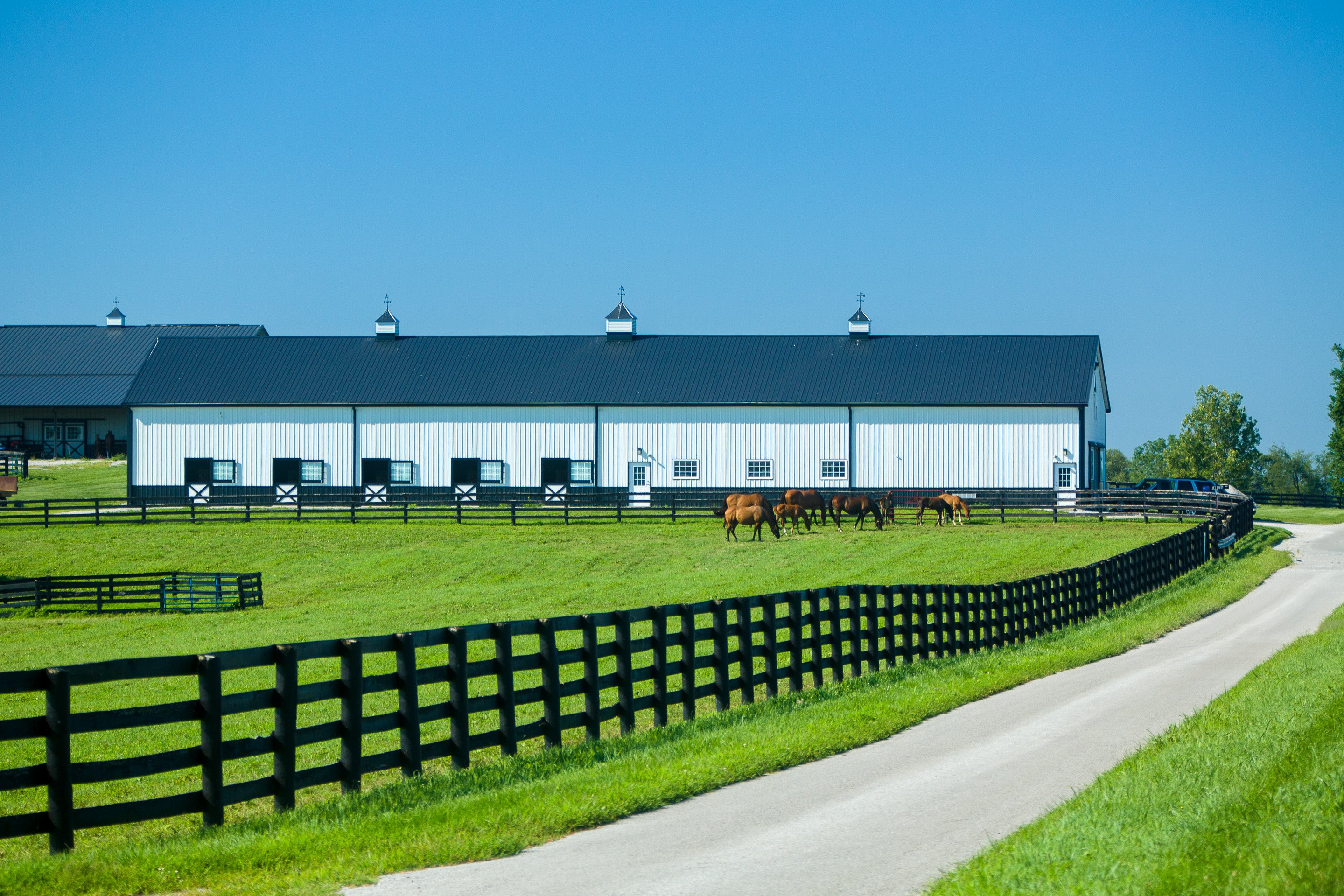 University of Kentucky Maine Chance Farm facilities