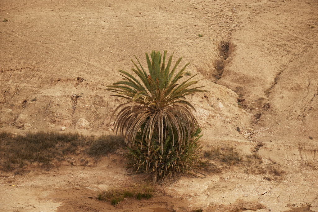 Sunday Somewhere | Morocco