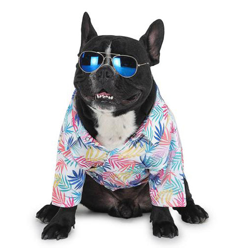 Stylish dog wearing a printed shirt by Barks and Wags