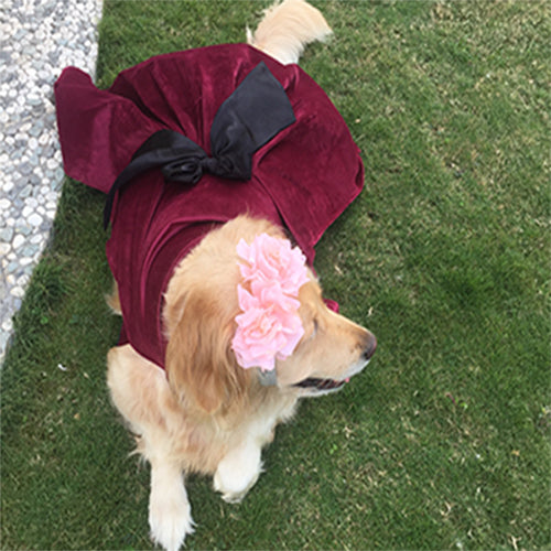 dresses for dogs by Barks & Wags