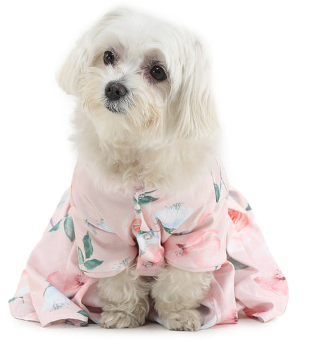 Cute little dog wearing pink dress by Barks and Wags