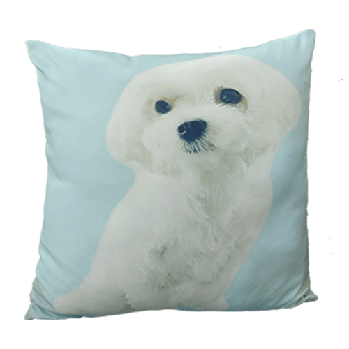 cushions for dogs