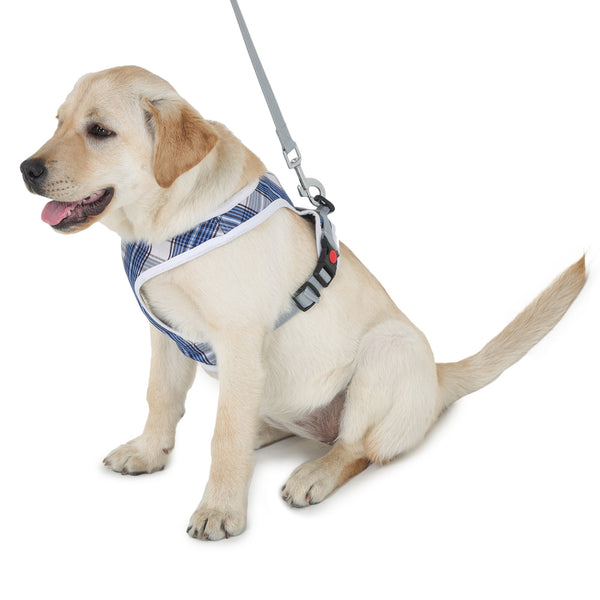 Dog harness