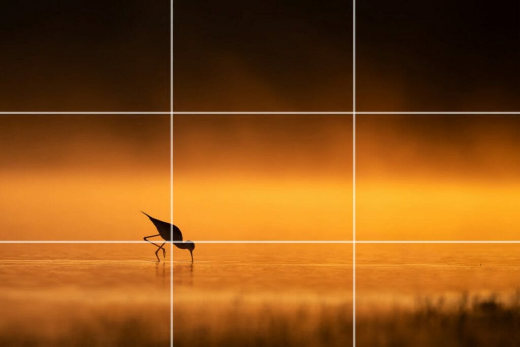 Rule of Thirds in Photography - Rule of Thirds Ninth Example - Sunny 16