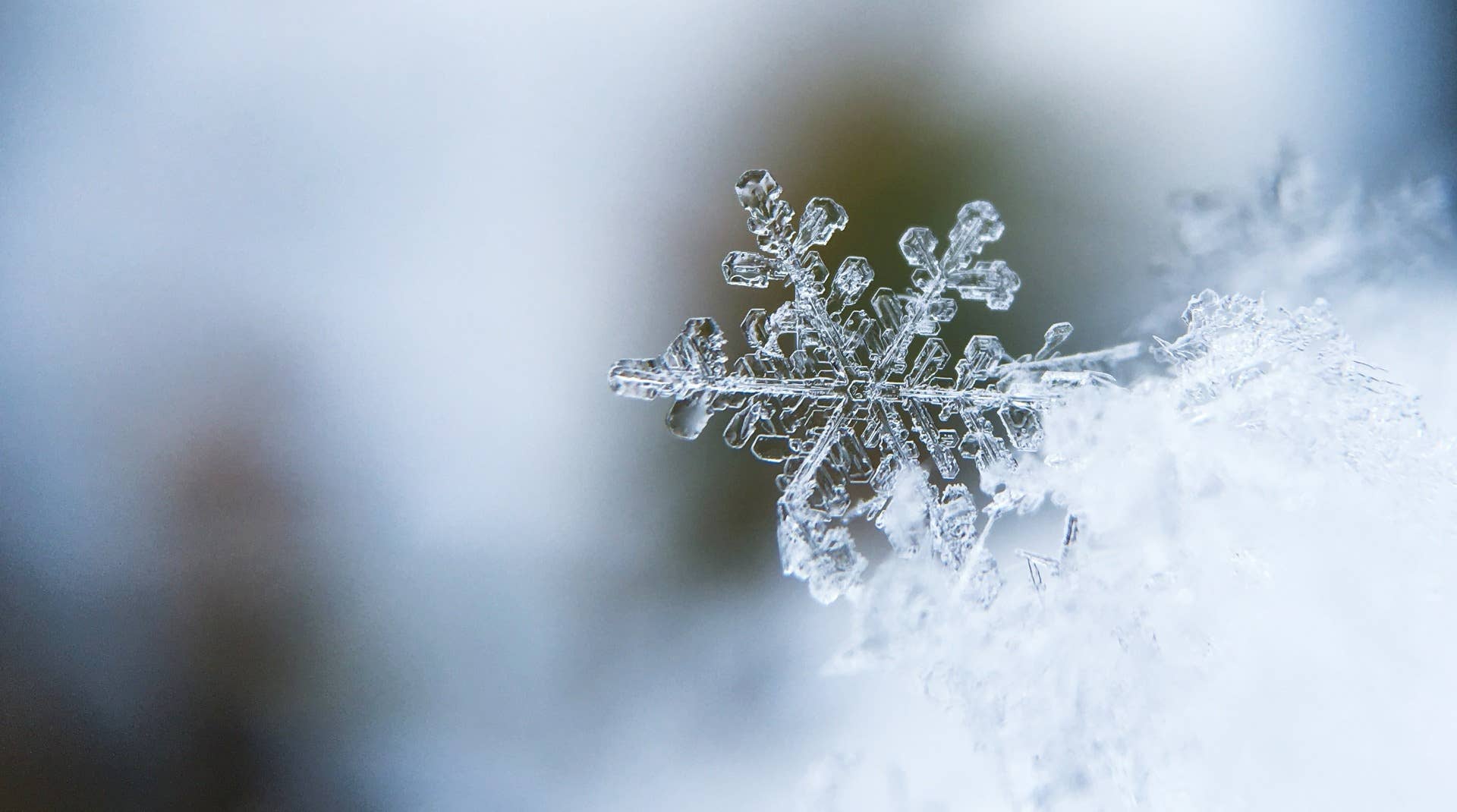 What is Macro Photography - Snowflake