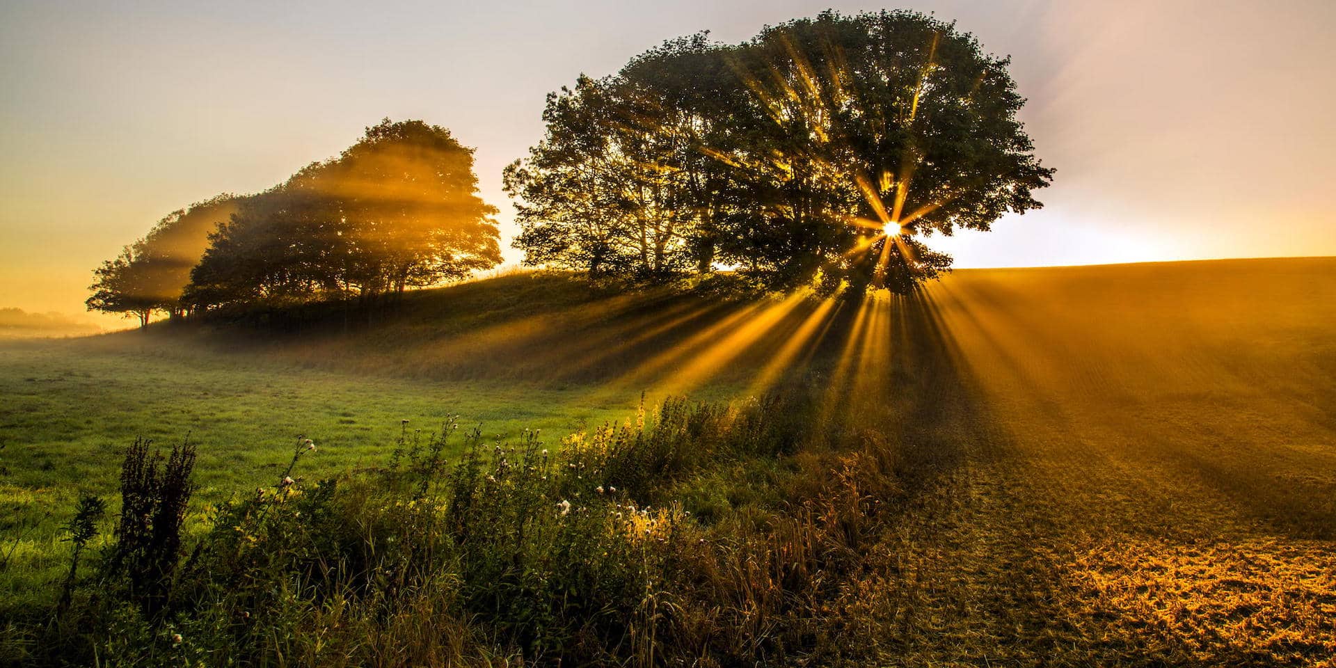 When is Golden Hour Photography - Magic Hour Lighting and Selfies