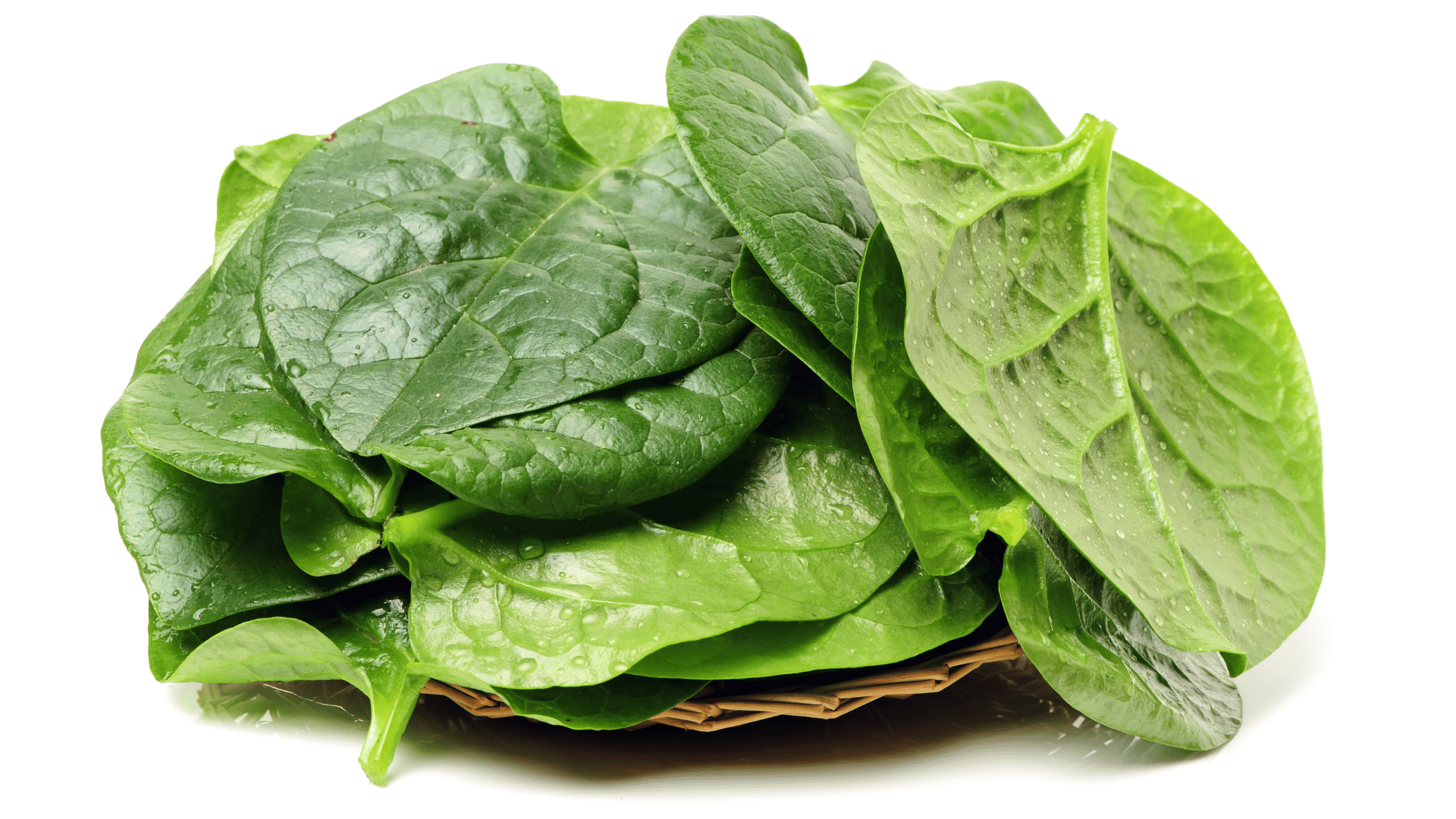 Stack of fresh malabar spinach vegetable leaves on white background.