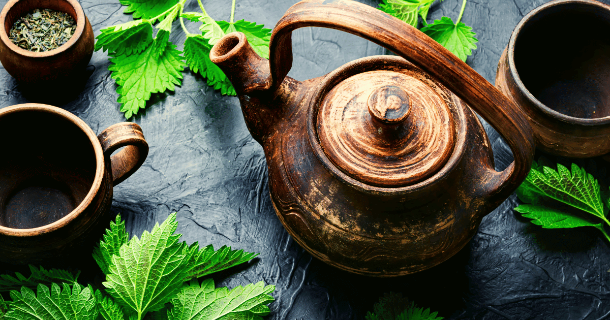 Stinging Nettle leaves with a tea pot and cups on a dark background
