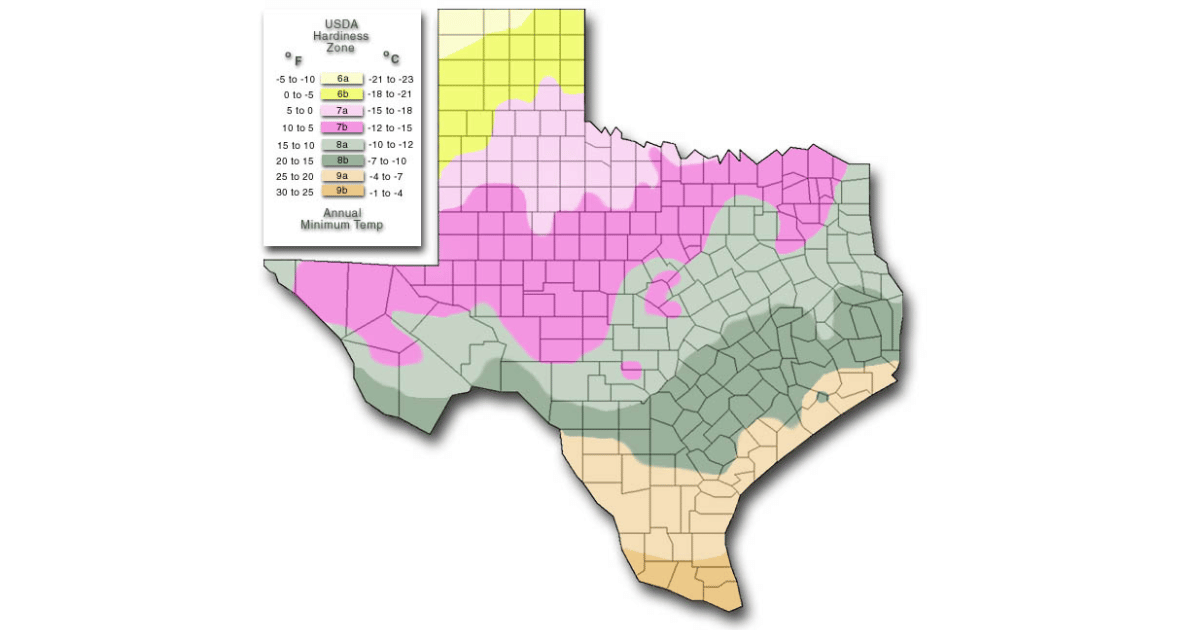 Texas USDA Hardiness subzones