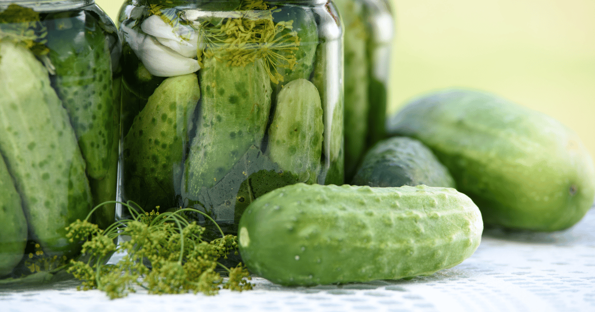 Boston Pickling cucumbers in jar with dill and garlic on a table.