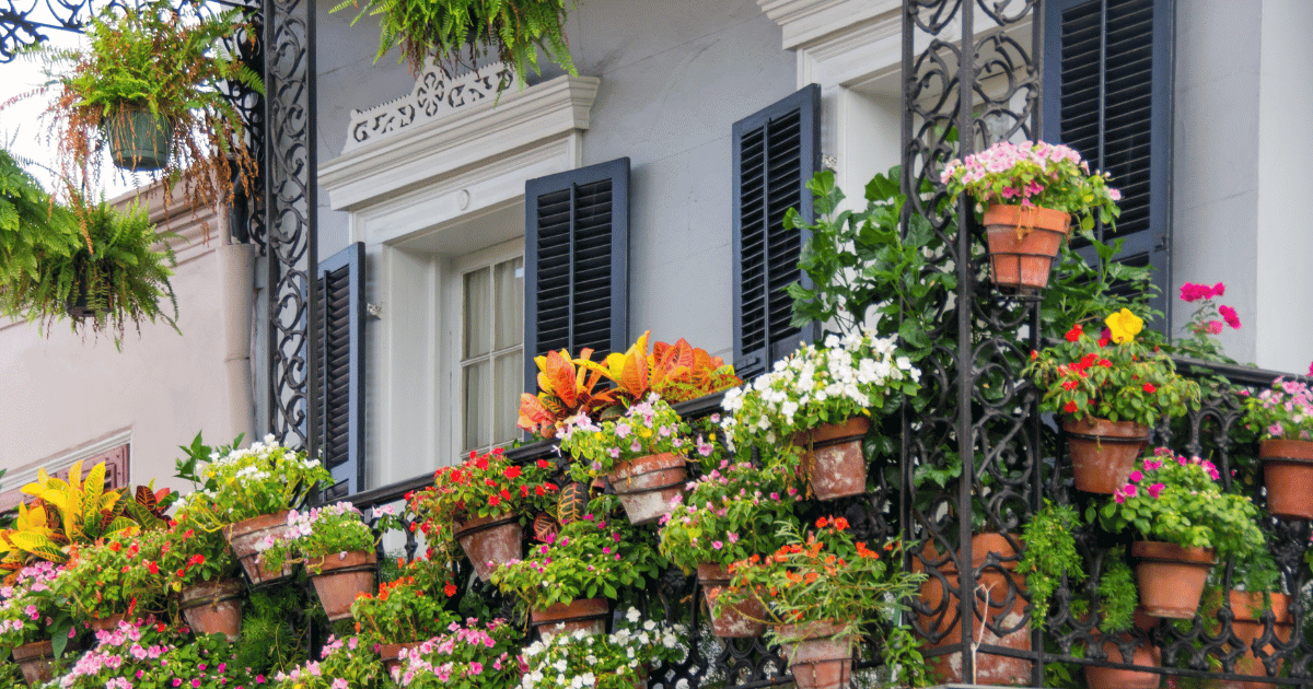 Flower garden on New Orleans balcony