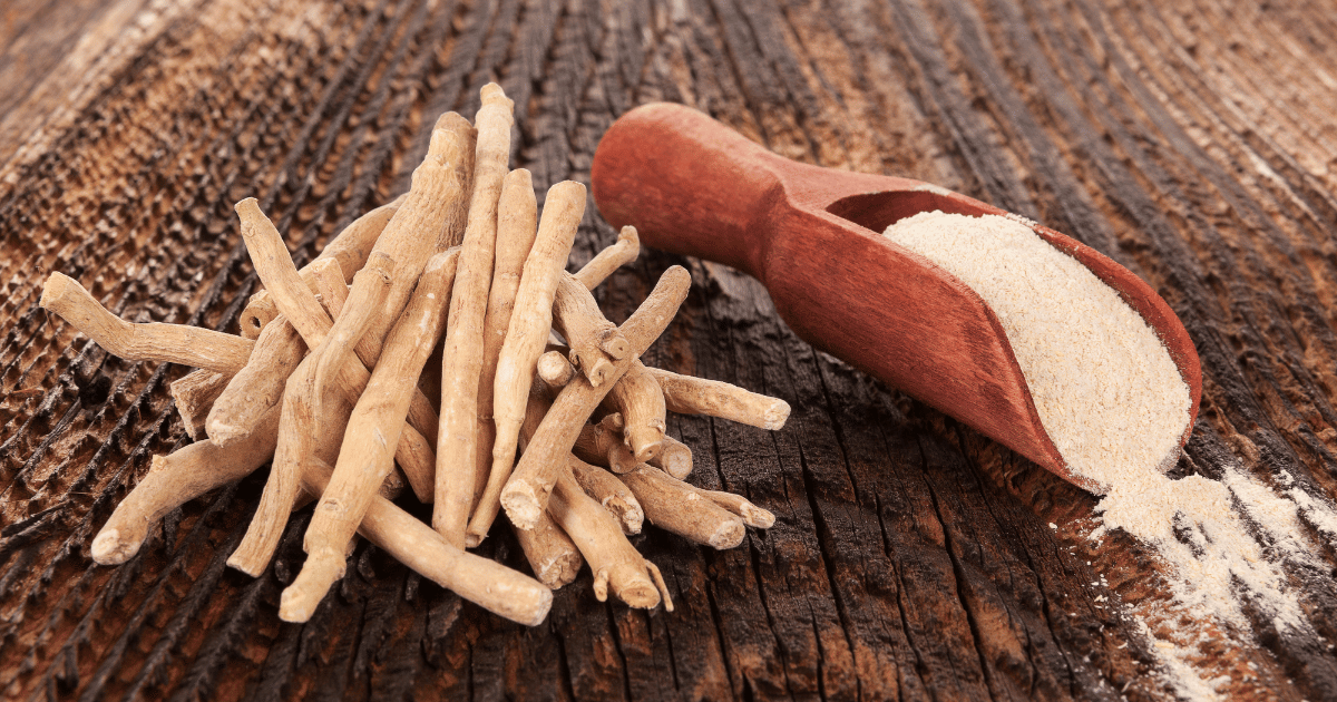 Ashwagandha roots and powder in spoon.