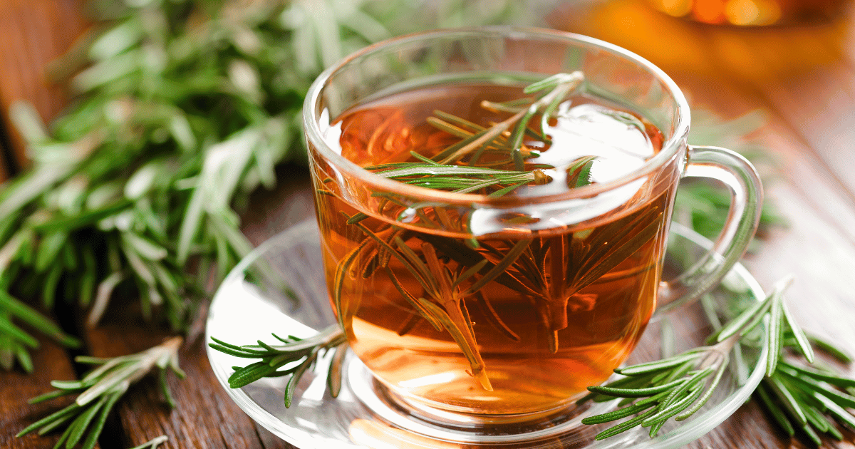 Rosemary tea in glass tea cup on rustic wooden table closeup. Herbal vitamin tea.
