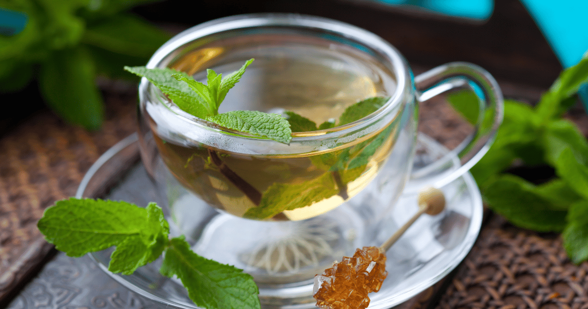 Mint in tea cup on wooden table with a sugar stick.