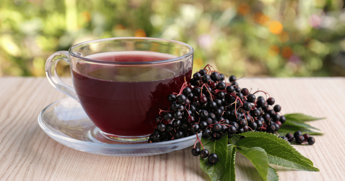 Elderberry tea in a tea cup with saucer and elderberries on a wood background.