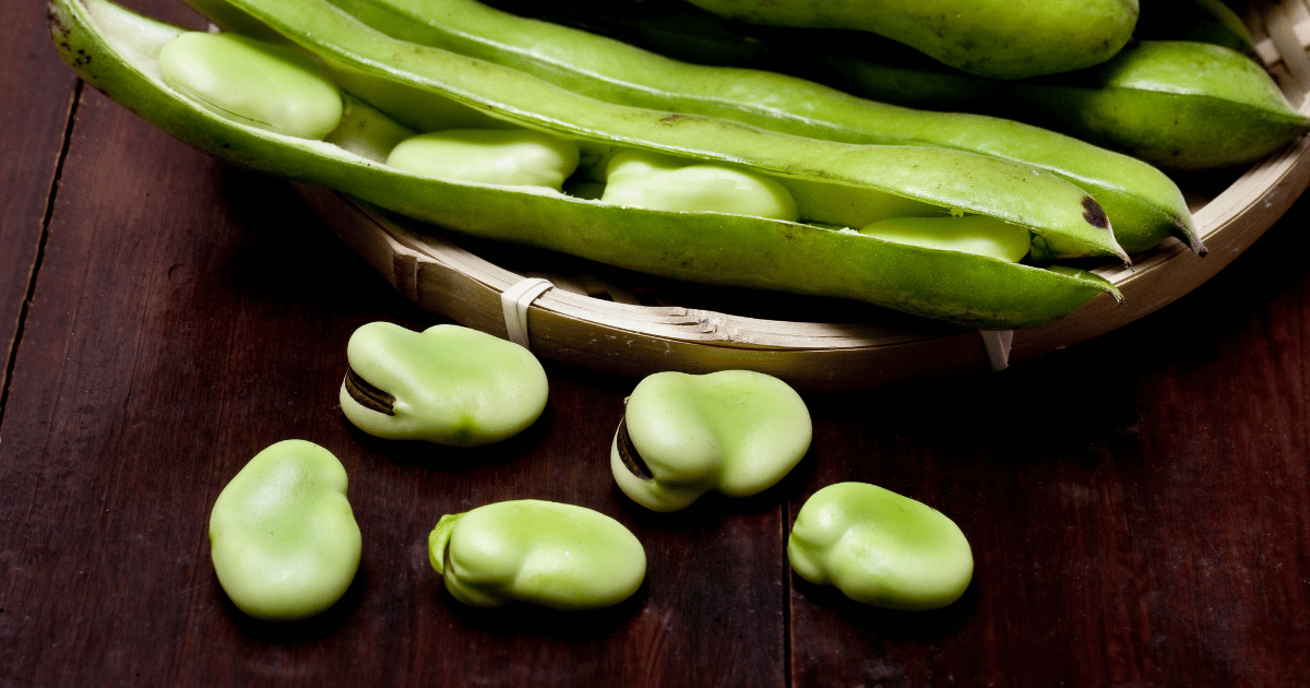 Fava beans on a wood table.