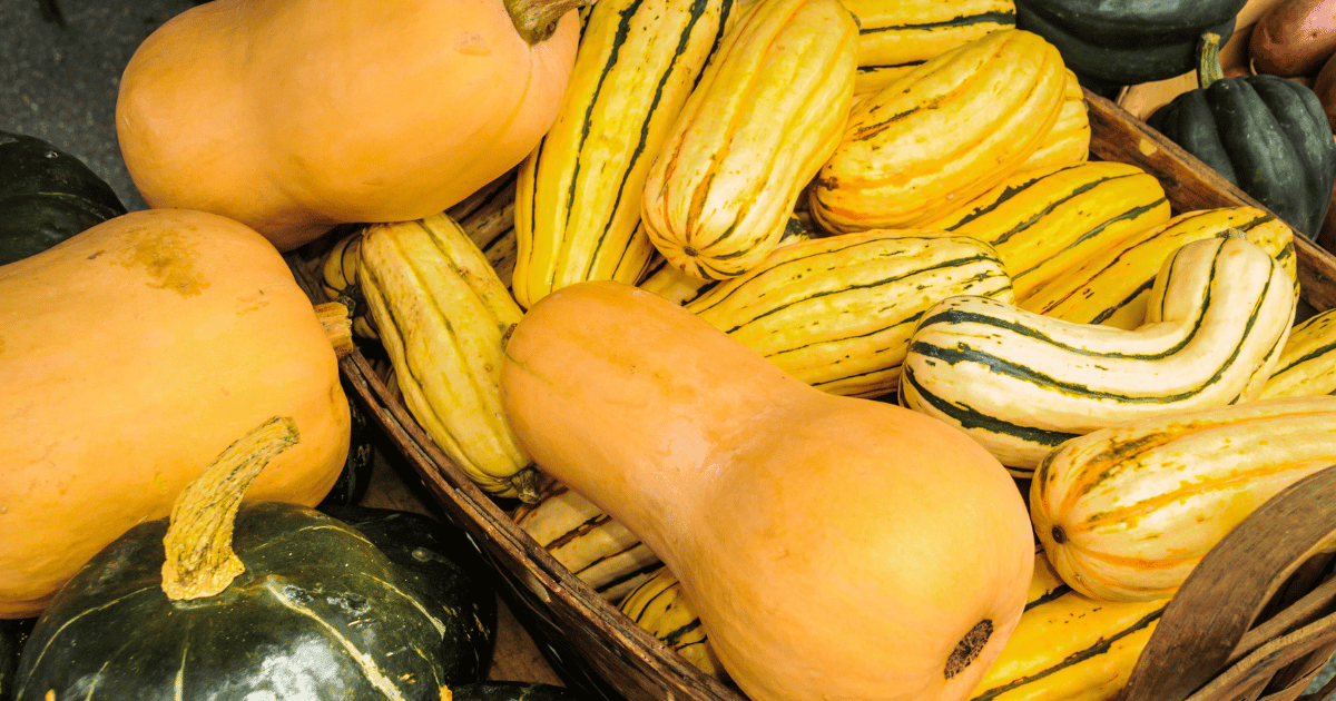 A basket with a variety of winter squash.