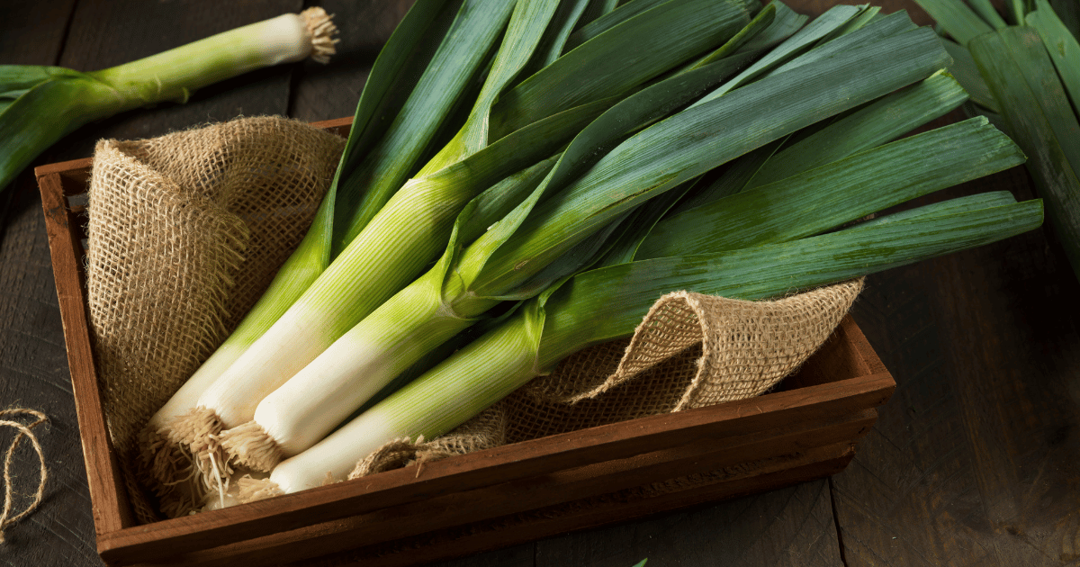 Leeks in a basket with burlap on a wooden table.