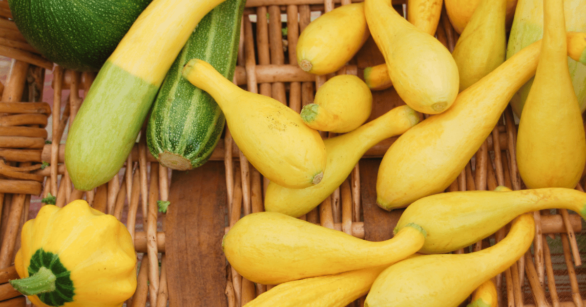 Various summer squash in a basket.