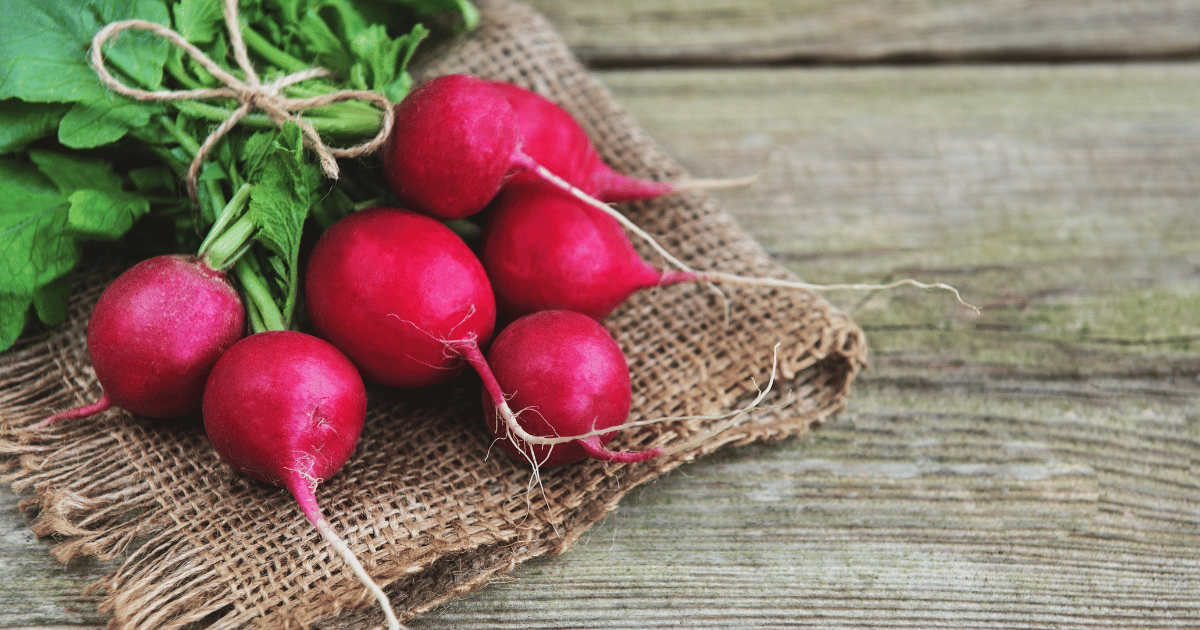 Radish on burlap tied and a wood background.