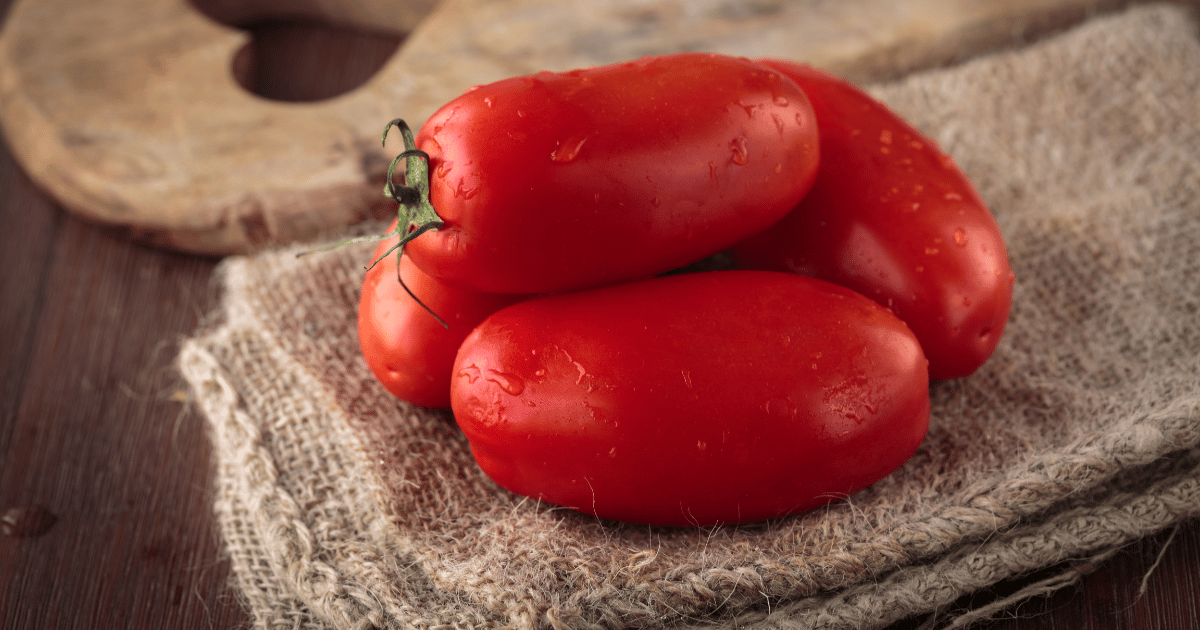 Fresh raw San Marzano tomatoes on Linen Napkin on Table