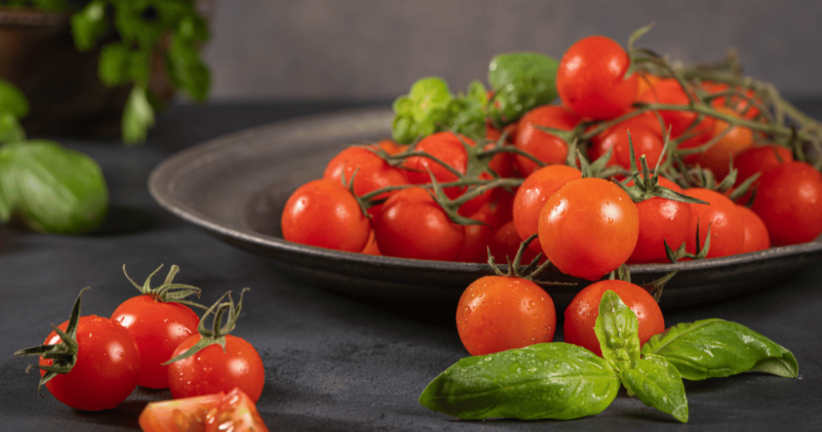 Small red cherry tomatoes on rustic background. Cherry tomatoes