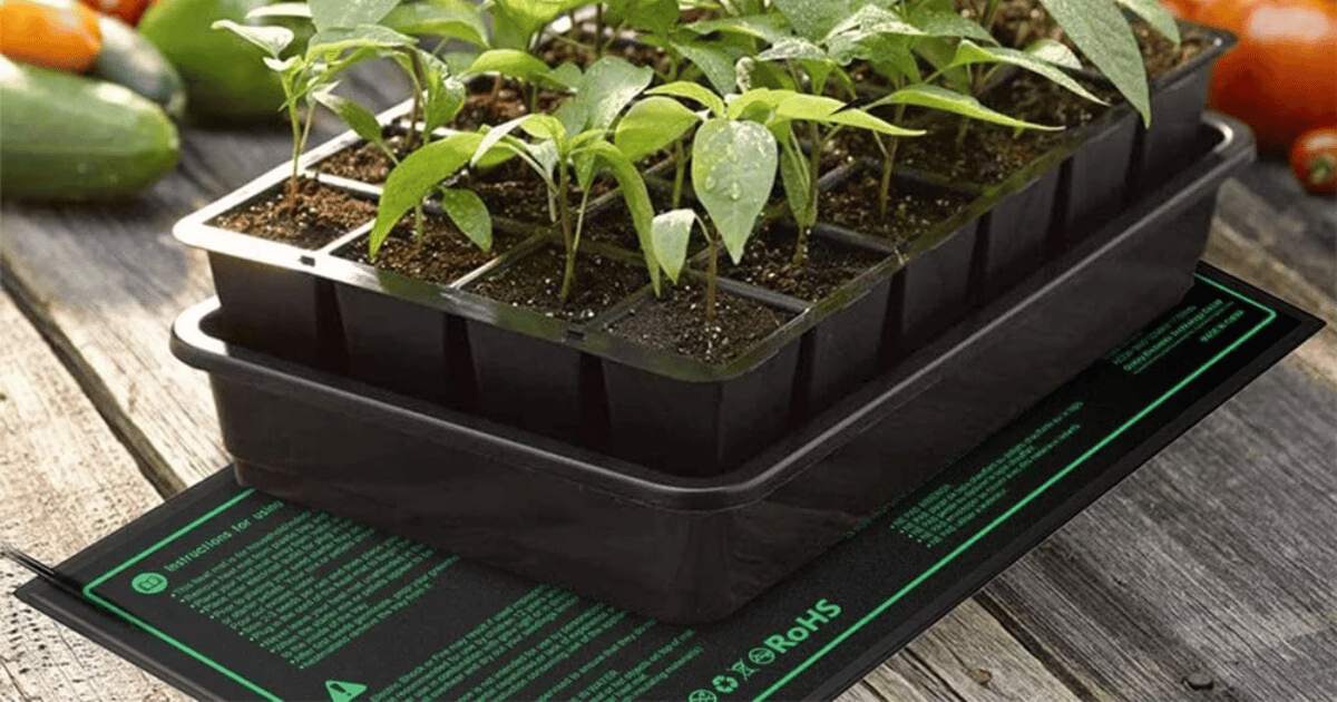 Seedling starter tray on a plant heating mat