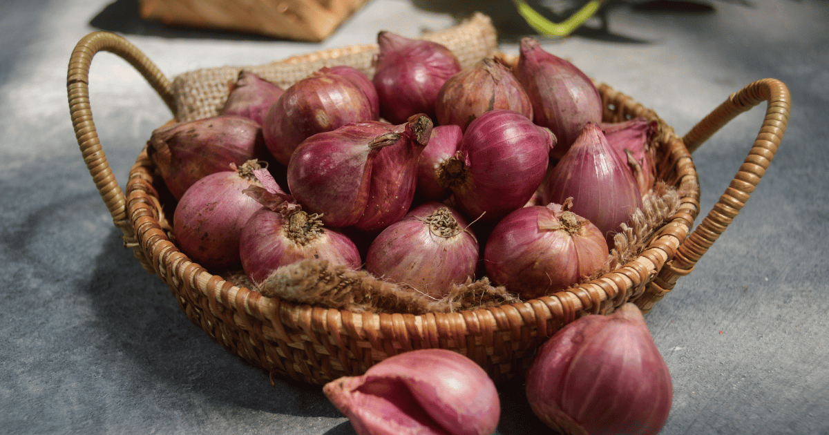 Bunch of shallots in a bowl.