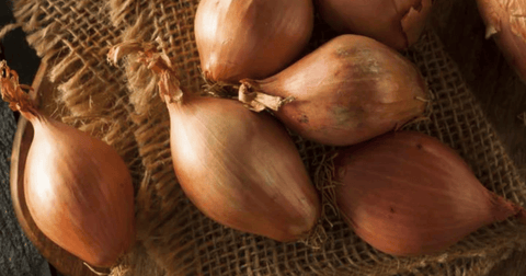 Davidor shallot on a table and brown linen cloth.