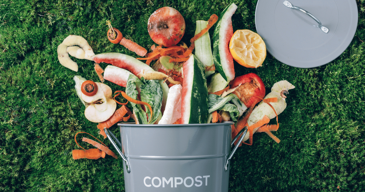 Organic Food Waste from Vegetable Ready for Composting