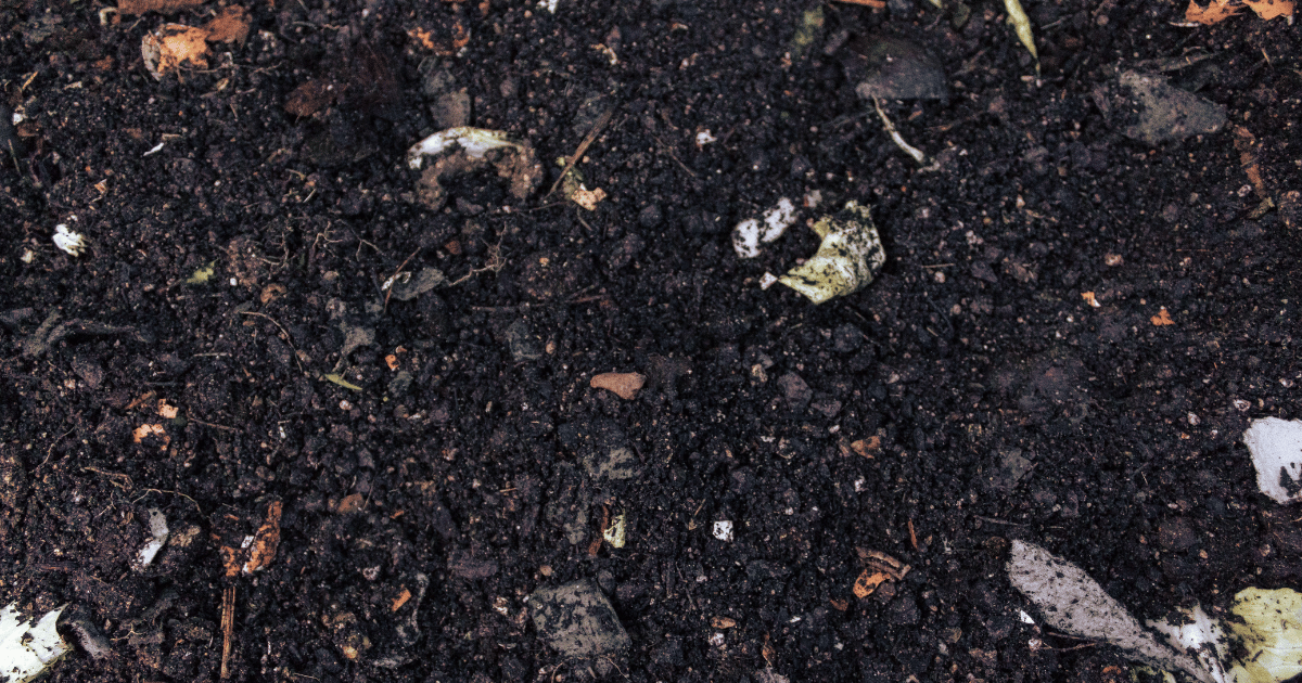 Composting organic material