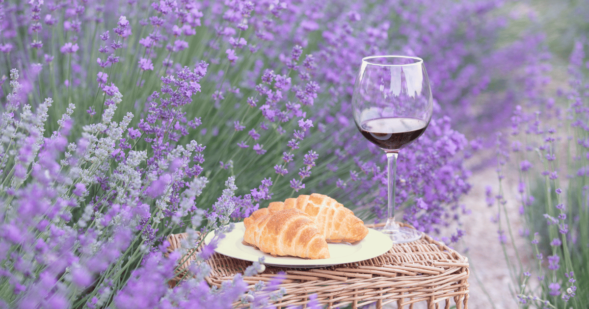 Lavender, Croissant and Wine - Southern Seed Exchange