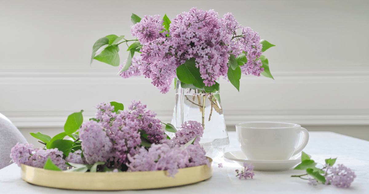 Lilac Flowers Home Arrangement in a Vase - Southern Seed Exchange